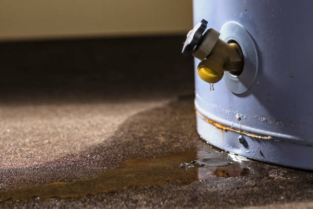 Best Water damage mitigation services  in Bayview, CA