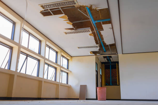 Best Water damage contractors near me  in Bayview, CA