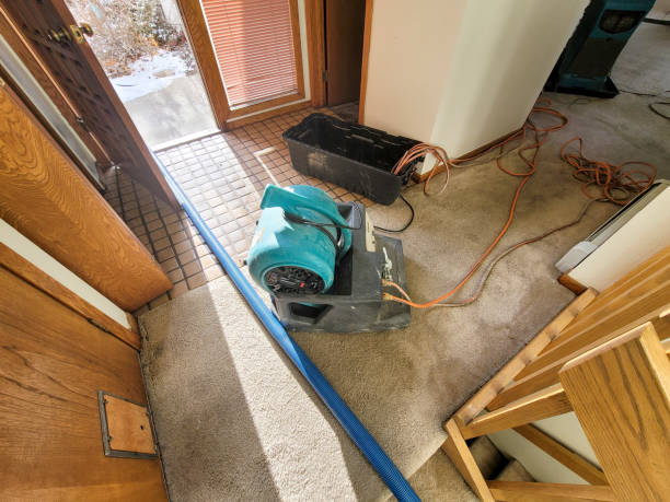 Best Fire Damage Restoration  in Bayview, CA
