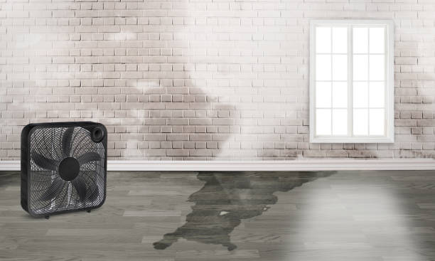 Best Ceiling water damage repair  in Bayview, CA