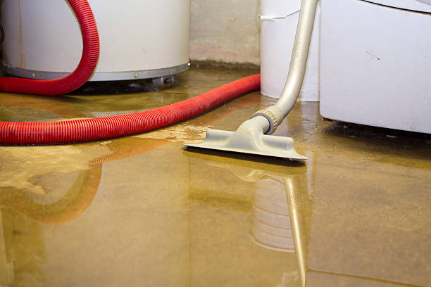 Best Water damage restoration cost  in Bayview, CA