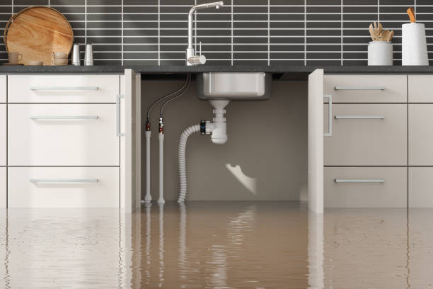 Best Water damage restoration near me  in Bayview, CA