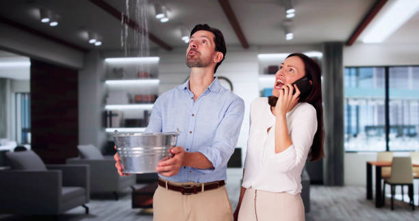 Best 24/7 water damage repair  in Bayview, CA