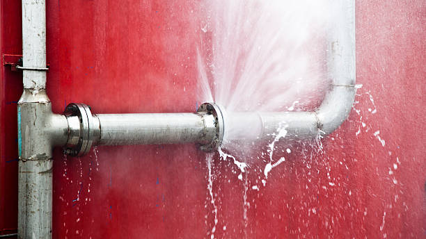 Best Flooded house restoration  in Bayview, CA